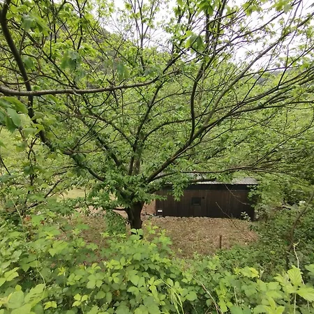 Tiny House Bord De Riviere Luxury tent *